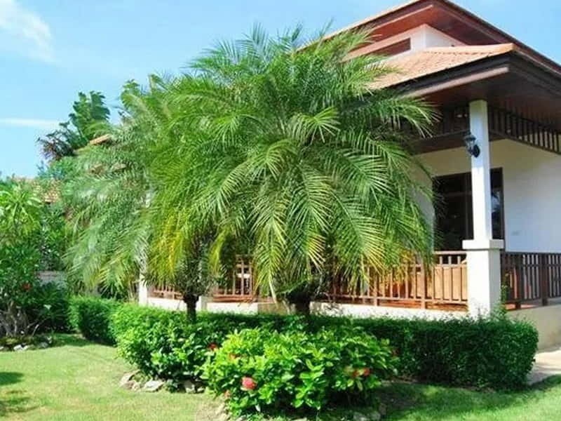 Khao Tao Villa mit schönem Garten -Hua Hin Haus- - Haus - Hua Hin - 